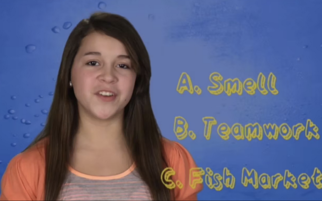 Cool Stuff Dolphis: Kid Quiz 4