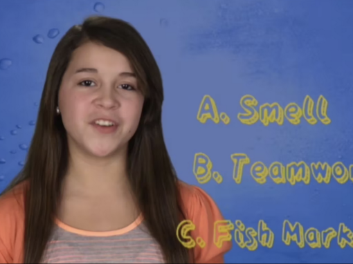 Cool Stuff Dolphis: Kid Quiz 4