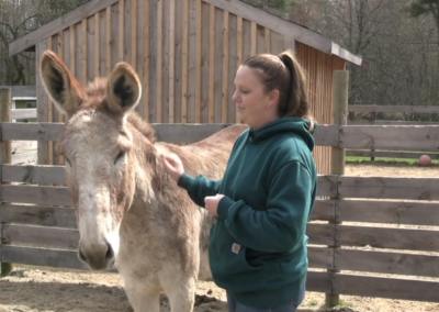 The Forever Farm – Part 1