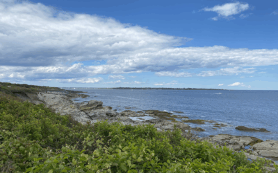 Did you survive “Maycember”?